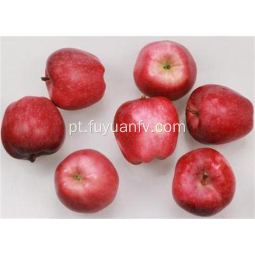 Deliciosa fruta fresca vermelha estrela apple